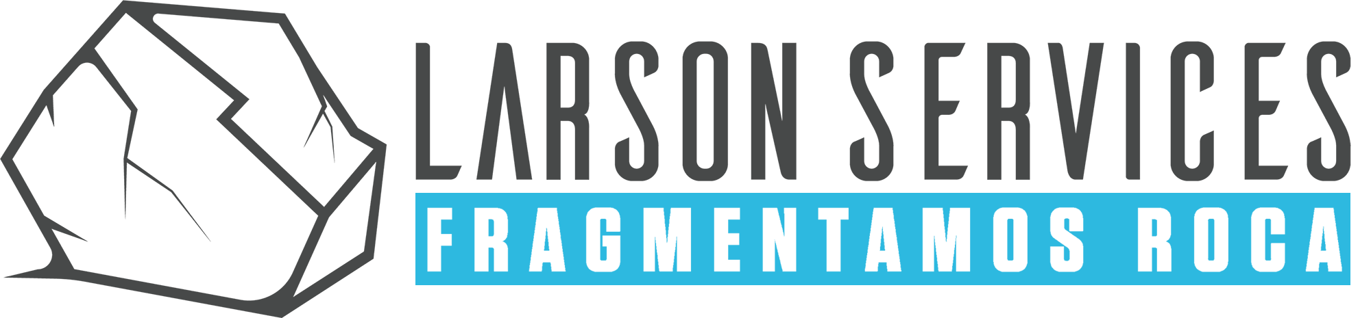 larson-services